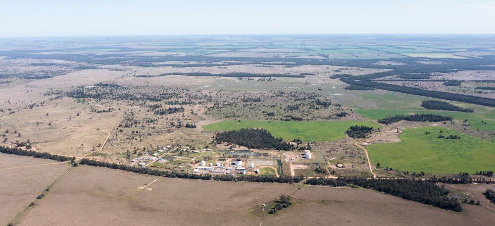 Grandis_Aerial_Plant
