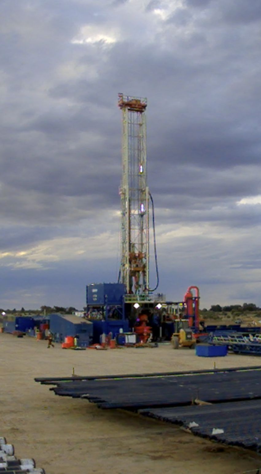 Grandis_rig